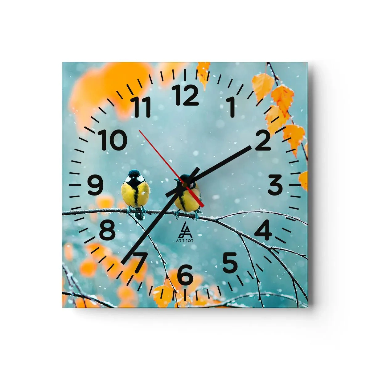 Wanduhr - Glasuhr - Vogelklatsch - 30x30 cm