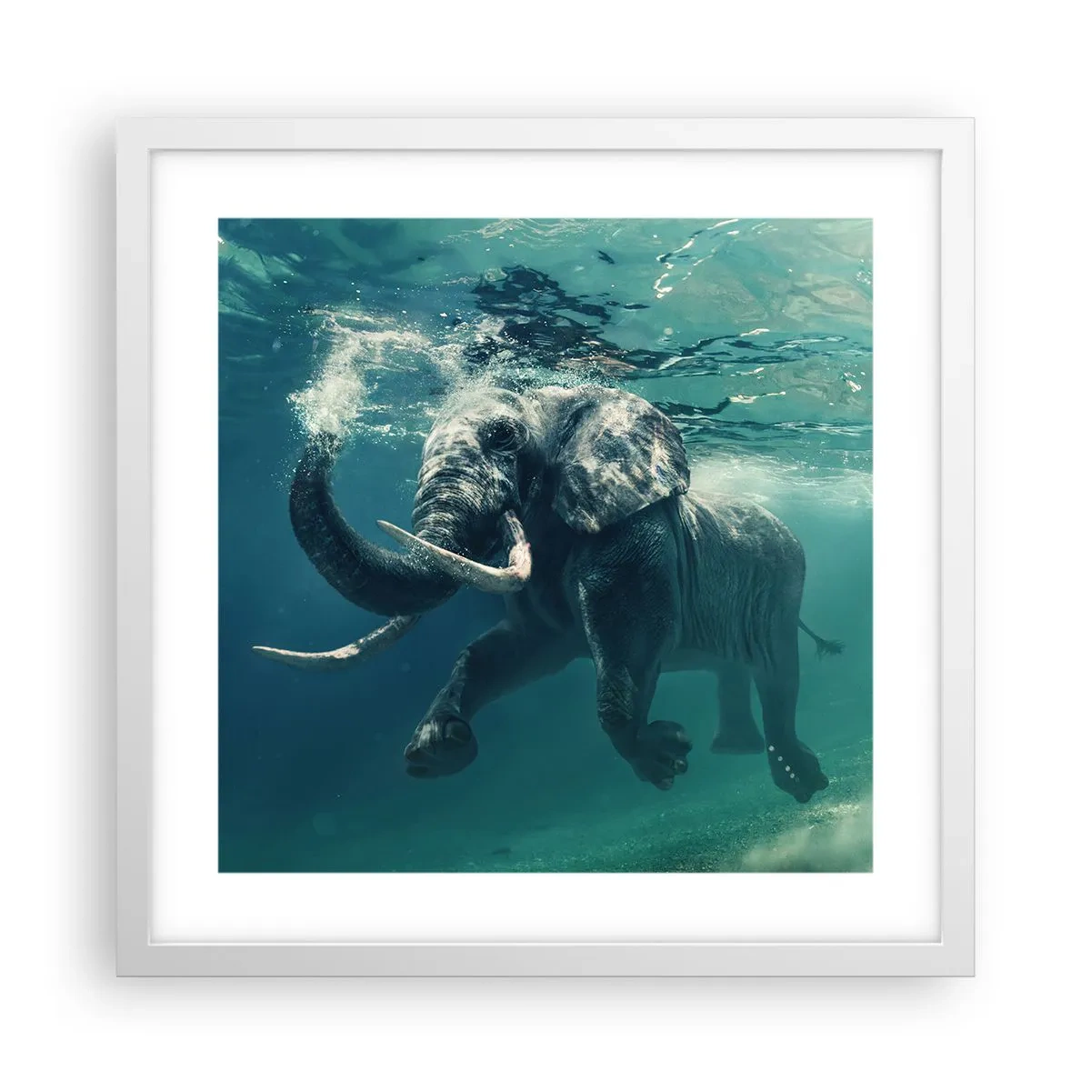 Poster in einem weißen Rahmen - Jeder schwimmt gerne - 40x40 cm