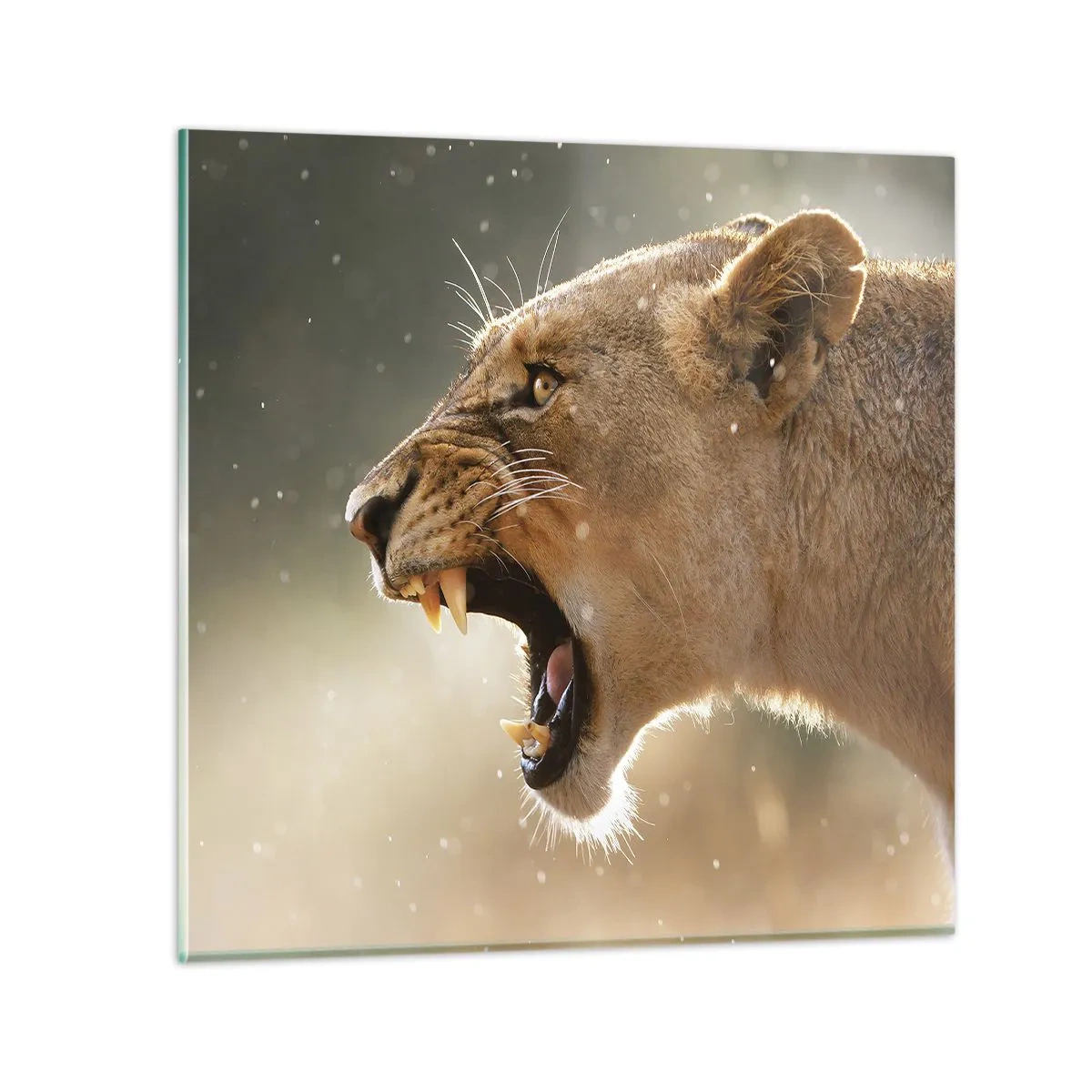 Glasbild - Bild auf glas - Versuch, nicht zuzuhören - 70x70 cm