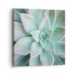 Bild auf Leinwand - Leinwandbild - Das Herz der Wüste - 40x40 cm