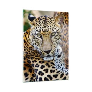 Glasbild - Bild auf glas - Ein wilder Leopard ruht im Grünen - 50x70cm - Wild und ruhig - Moderne Wanddekoration für Wohnzimmer und Schlafzimmer ARTTOR
