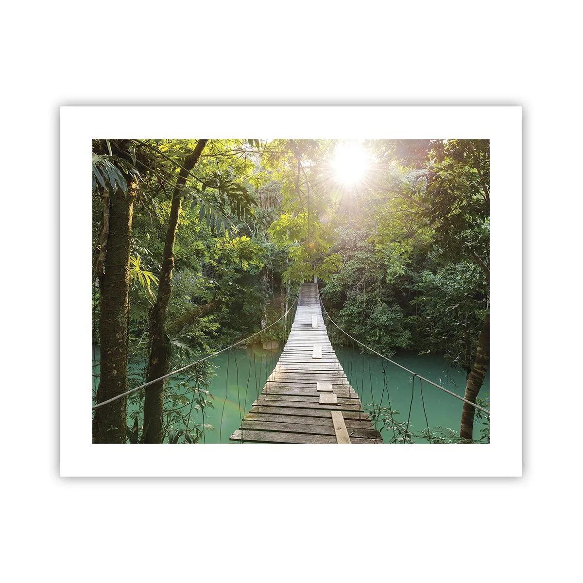 Poster - Über das azurblaue Wasser zum azurblauen Wald - 50x40 cm