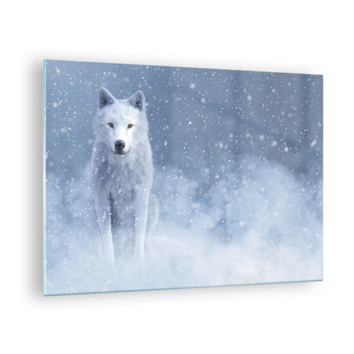 Glasbild - Bild auf glas - Ein weißer Wolf in einem Schneesturm, der geradeaus schaut - 70x50cm - In Winterstimmung - Moderne Wanddekoration für Wohnzimmer und Schlafzimmer ARTTOR
