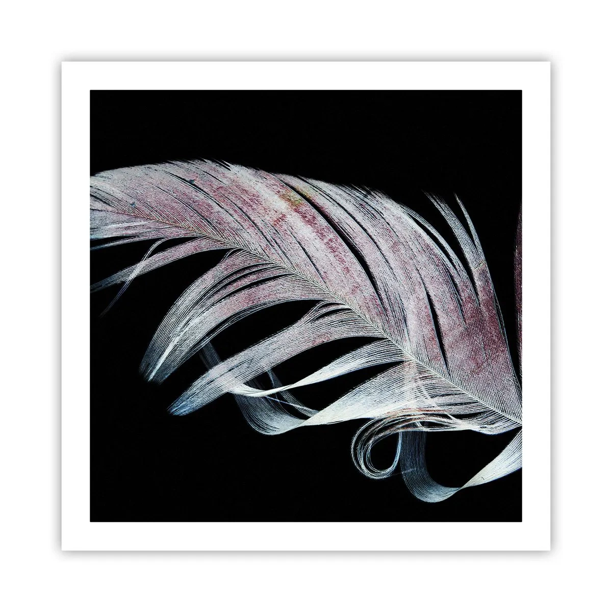 Poster - Denke an Berührung - 60x60 cm