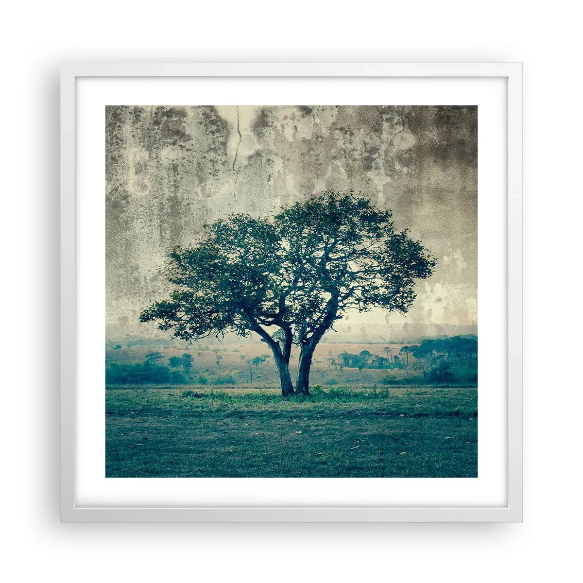 Poster in einem weißen Rahmen - Ein Apfelbaum auf blauem Feld? - 50x50 cm