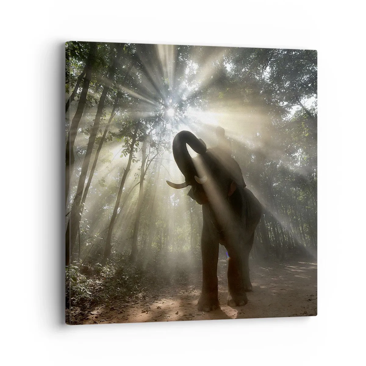 Bild auf Leinwand - Leinwandbild - Unter dem Glücksstern - 40x40 cm