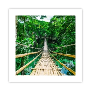Poster - Monkey Bridge über das Grün - 40x40 cm