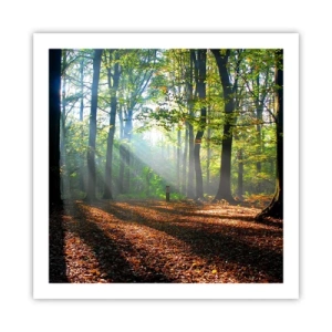 Poster - Licht und Schatten - 60x60 cm