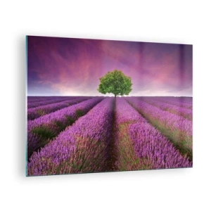Glasbild - Bild auf glas - Ein Lavendelfeld mit einem einsamen Baum vor dem Himmel - 70x50cm - Auf Lavendelfeldern - Moderne Wanddekoration für Wohnzimmer und Schlafzimmer ARTTOR