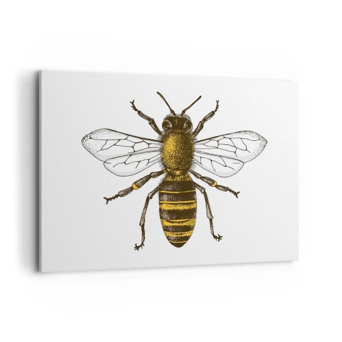 Bild auf Leinwand - Leinwandbild - Detaillierte Darstellung einer Biene auf weißem Hintergrund - 120x80cm - Schön und gut - Moderne Wanddekoration für Wohnzimmer und Schlafzimmer ARTTOR