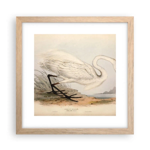 Poster in einem Rahmen aus heller Eiche - Dame auf den Binsen - 30x30 cm