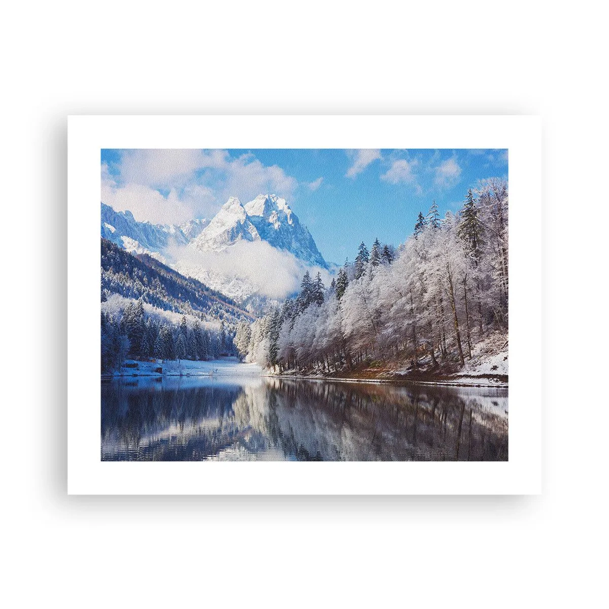 Poster - Schneefang - 50x40 cm