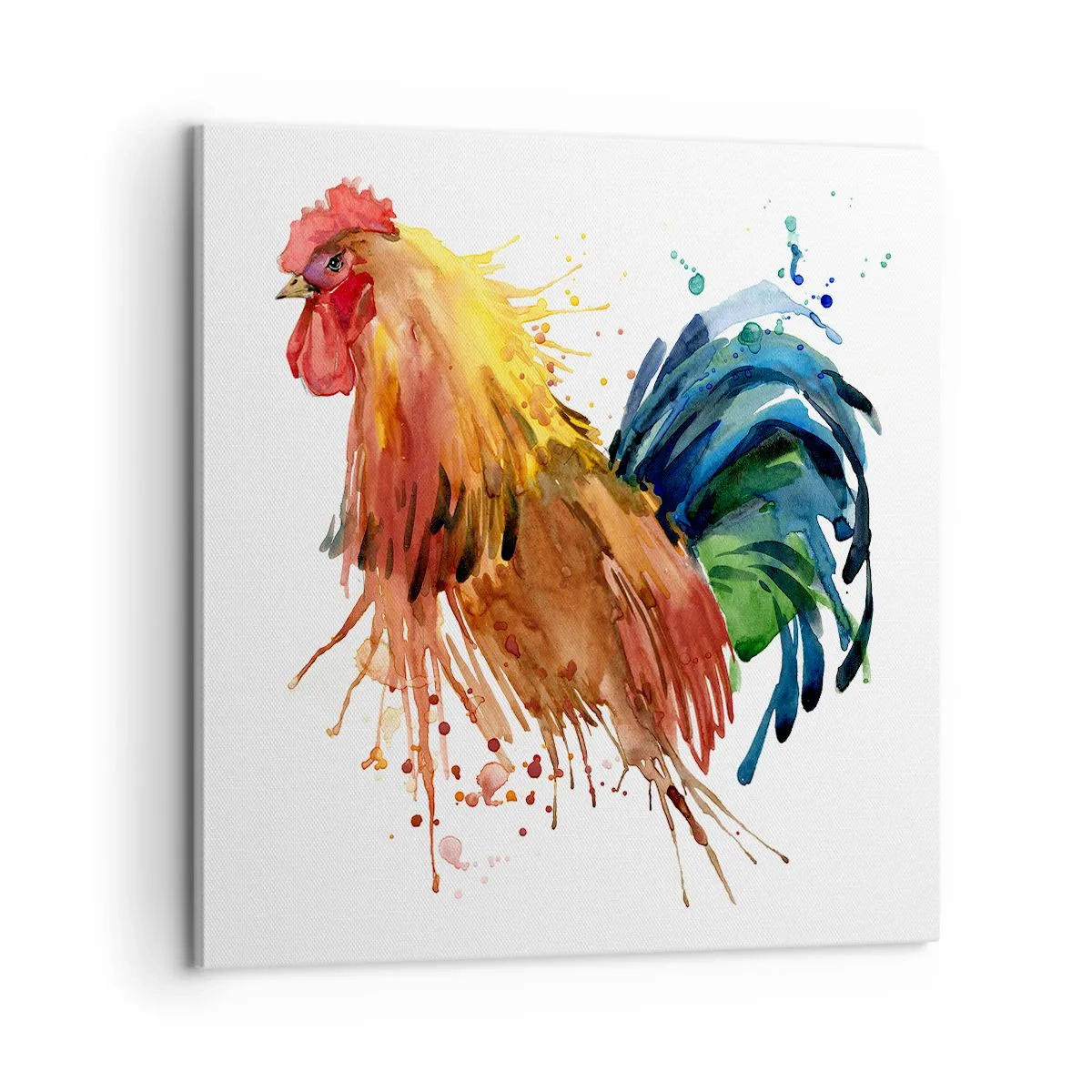 Bild auf Leinwand - Leinwandbild - Königliches Gewand, königlicher Stolz - 60x60 cm