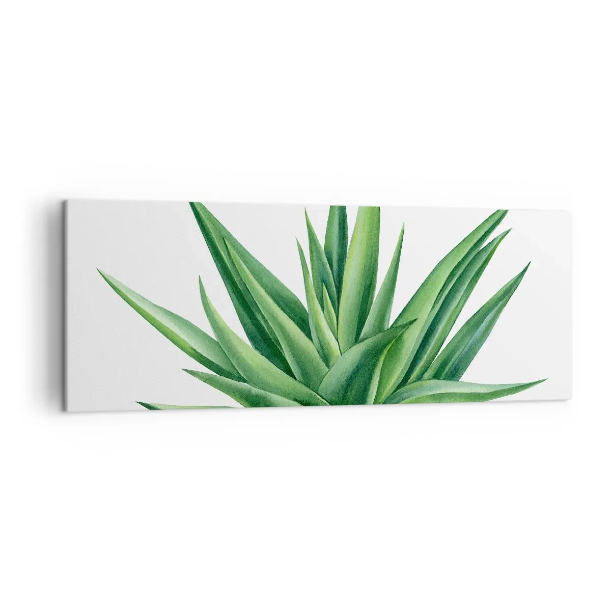 Bild auf Leinwand - Leinwandbild - Eine saftige grüne Pflanze auf weißem Hintergrund - 140x50cm - Grün – Kraft – Leben - Moderne Wanddekoration für Wohnzimmer und Schlafzimmer ARTTOR