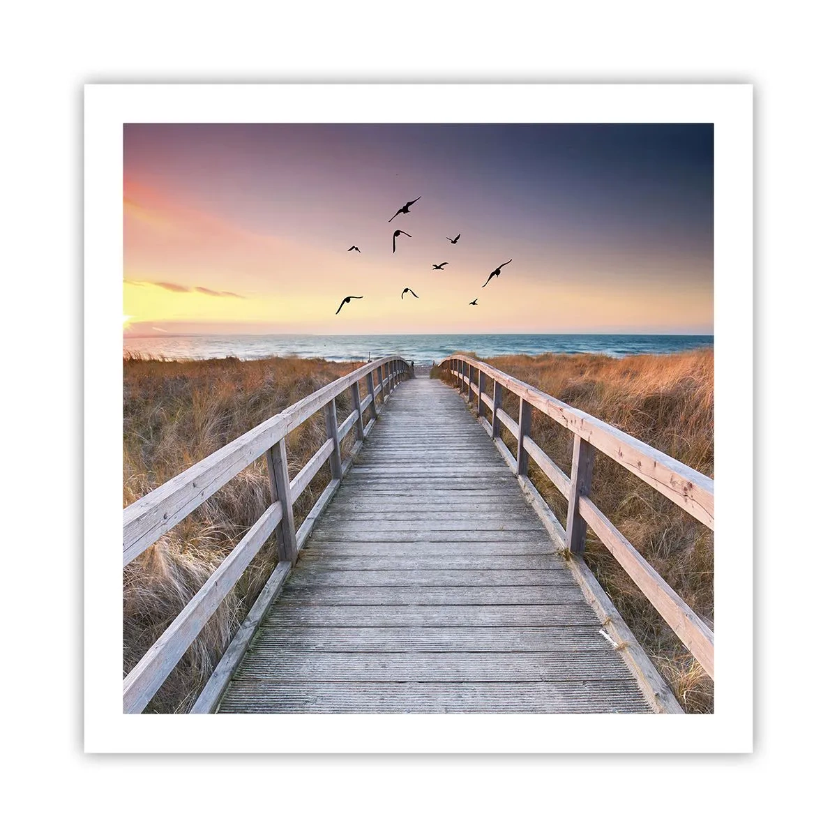 Poster - Der Raum für Auffliegen - 60x60 cm