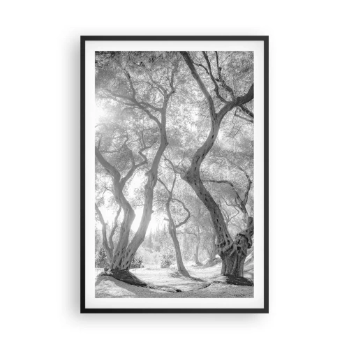 Poster in einem schwarzem Rahmen - Im Olivenhain - 61x91 cm