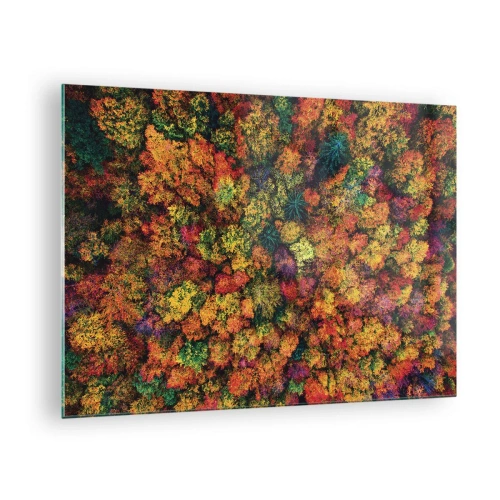 Glasbild - Bild auf glas - Eine Vogelperspektive auf einen Wald im Herbst, voller bunter Bäume - 70x50cm - Blumenstrauß aus Herbstbäumen - Moderne Wanddekoration für Wohnzimmer und Schlafzimmer ARTTOR