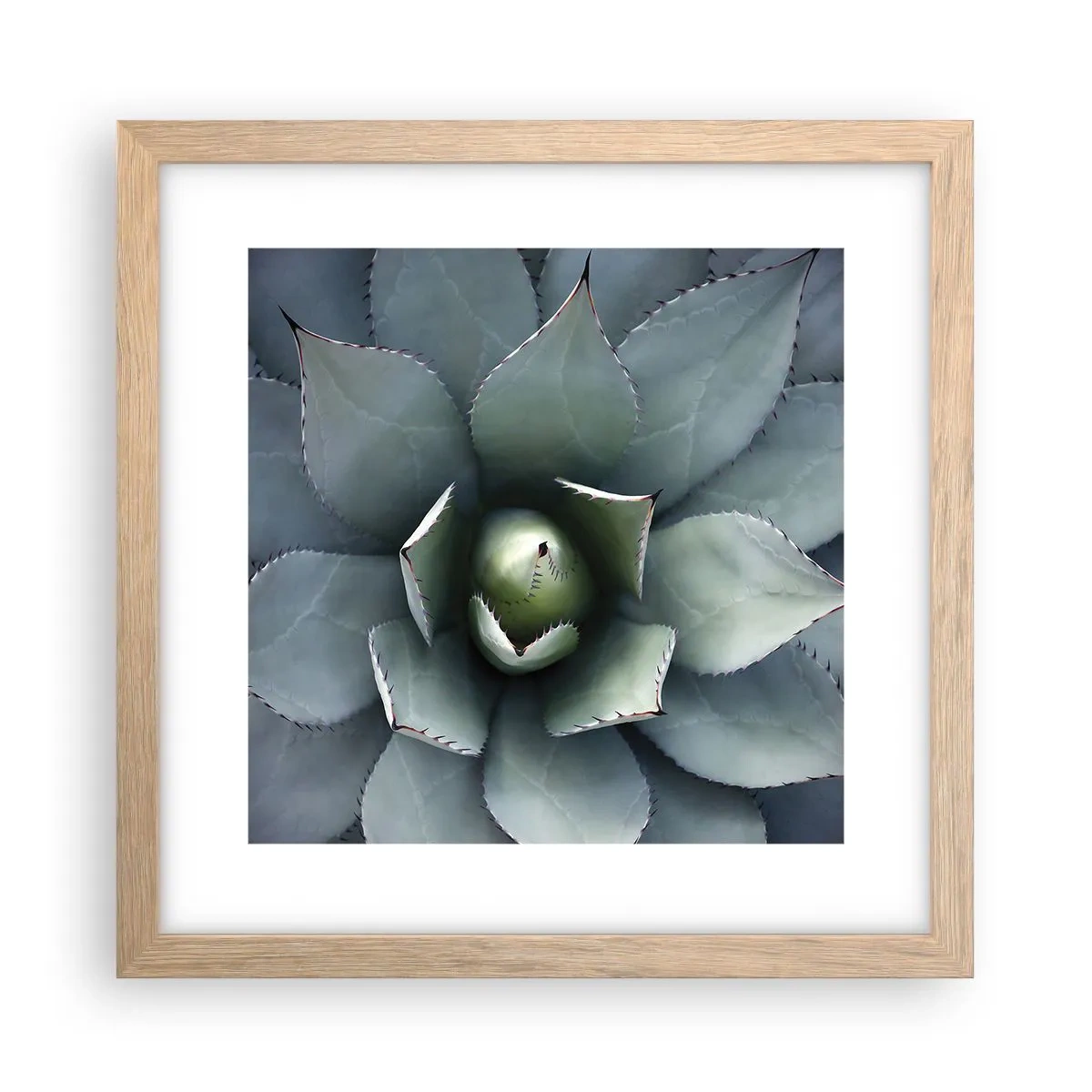 Poster in einem Rahmen aus heller Eiche - Es lockt an und warnt - 30x30 cm