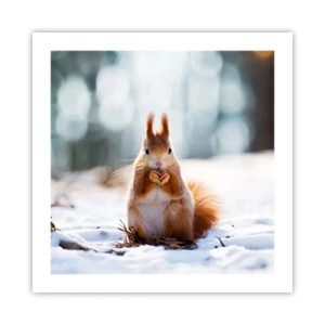 Poster - Wo schaust du hin? - 50x50 cm