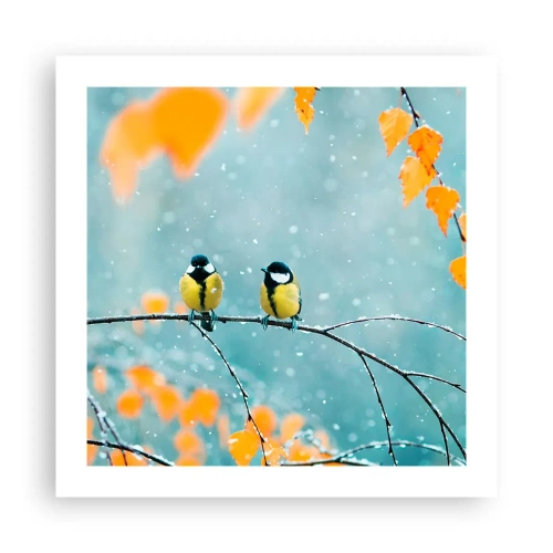 Poster - Vogelklatsch - 50x50 cm