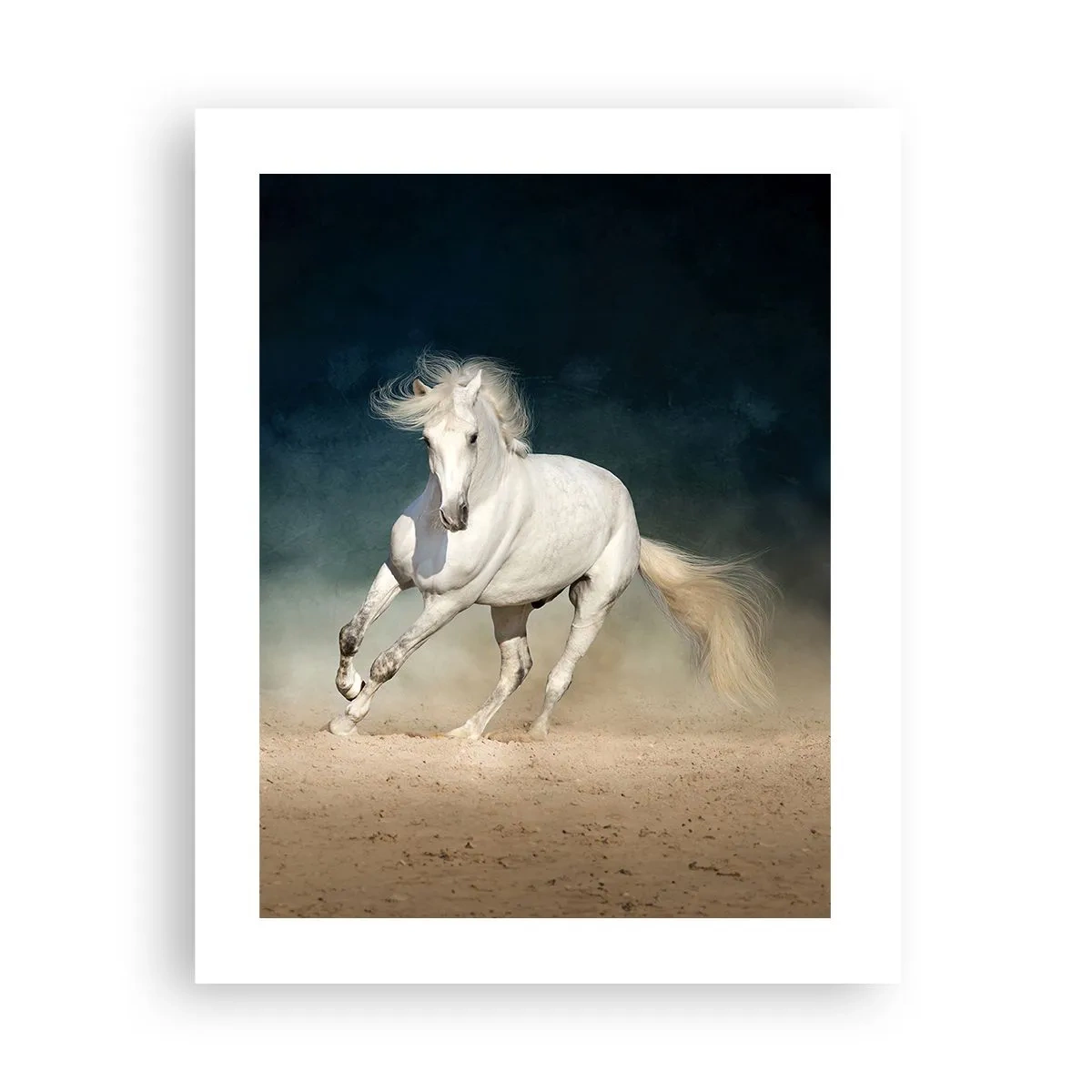 Poster - Freiheit in ihrem reinen Zustand - 40x50 cm