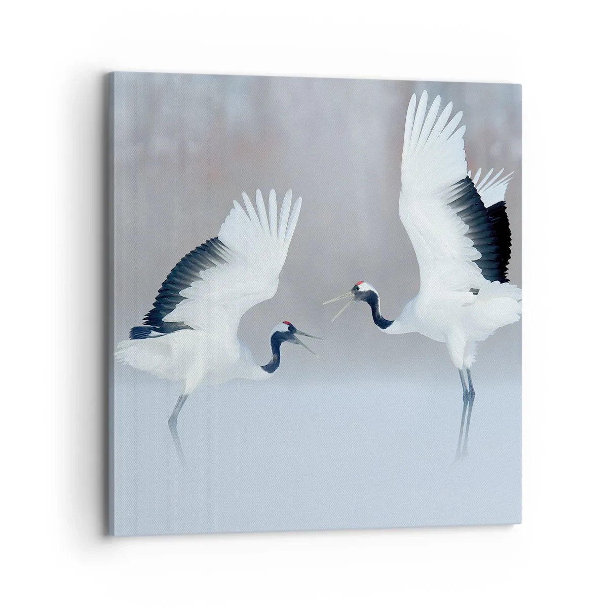 Bild auf Leinwand - Leinwandbild - Tanz im Nebel - 70x70 cm