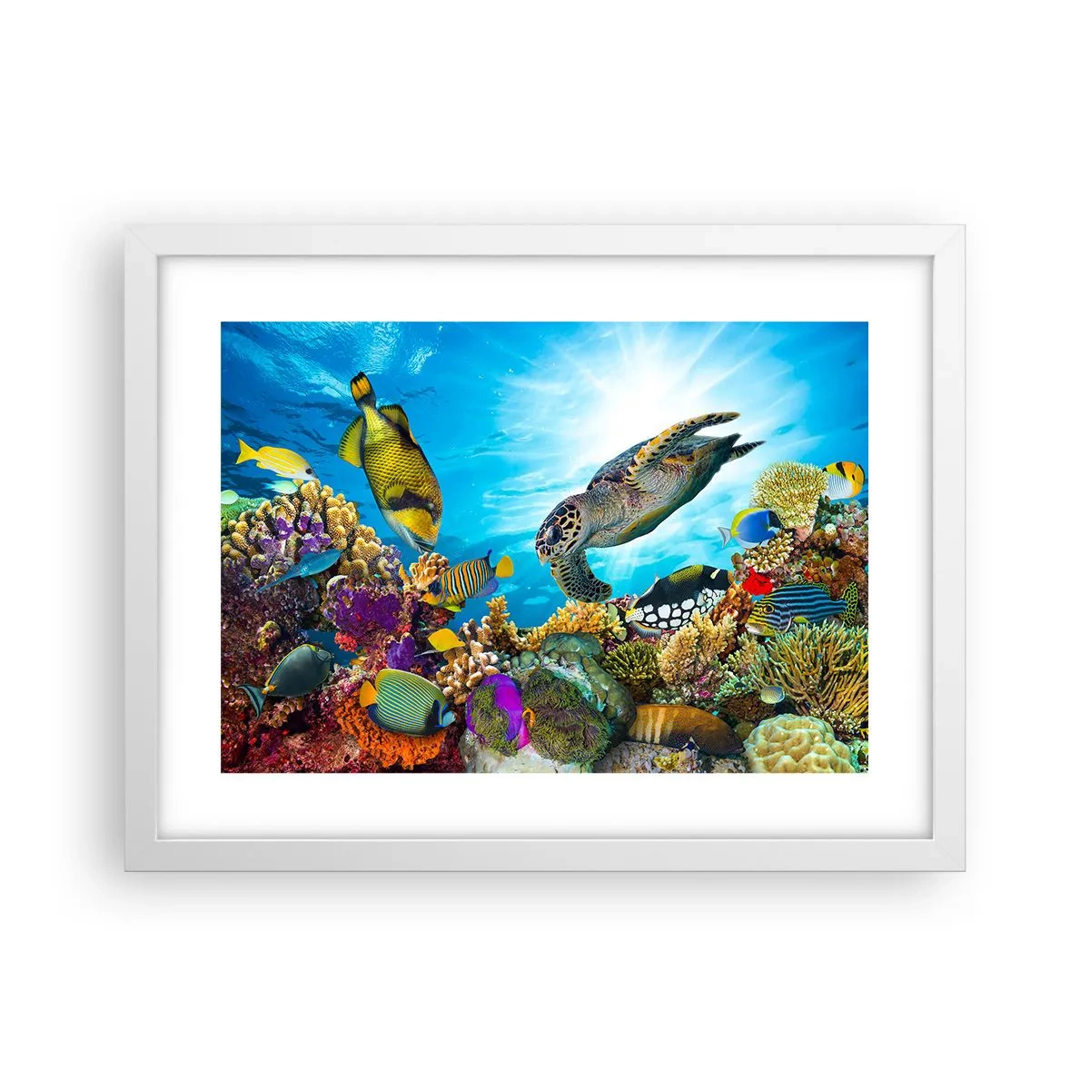 Poster in einem weißen Rahmen - Korallenpromenade - 40x30 cm