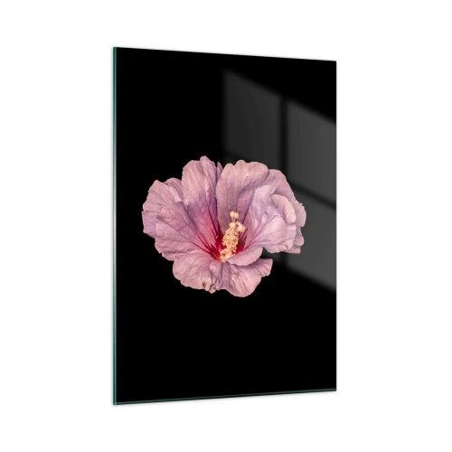 Glasbild - Bild auf glas - Nahaufnahme einer rosa Hibiskusblüte vor schwarzem Hintergrund - 50x70cm - Direkt ins Herz - Moderne Wanddekoration für Wohnzimmer und Schlafzimmer ARTTOR