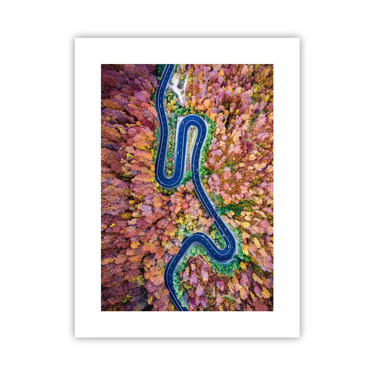 Poster - Kurvenreicher Weg durch den Wald - 30x40 cm