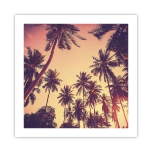 Poster - Tropische Variante - 50x50 cm