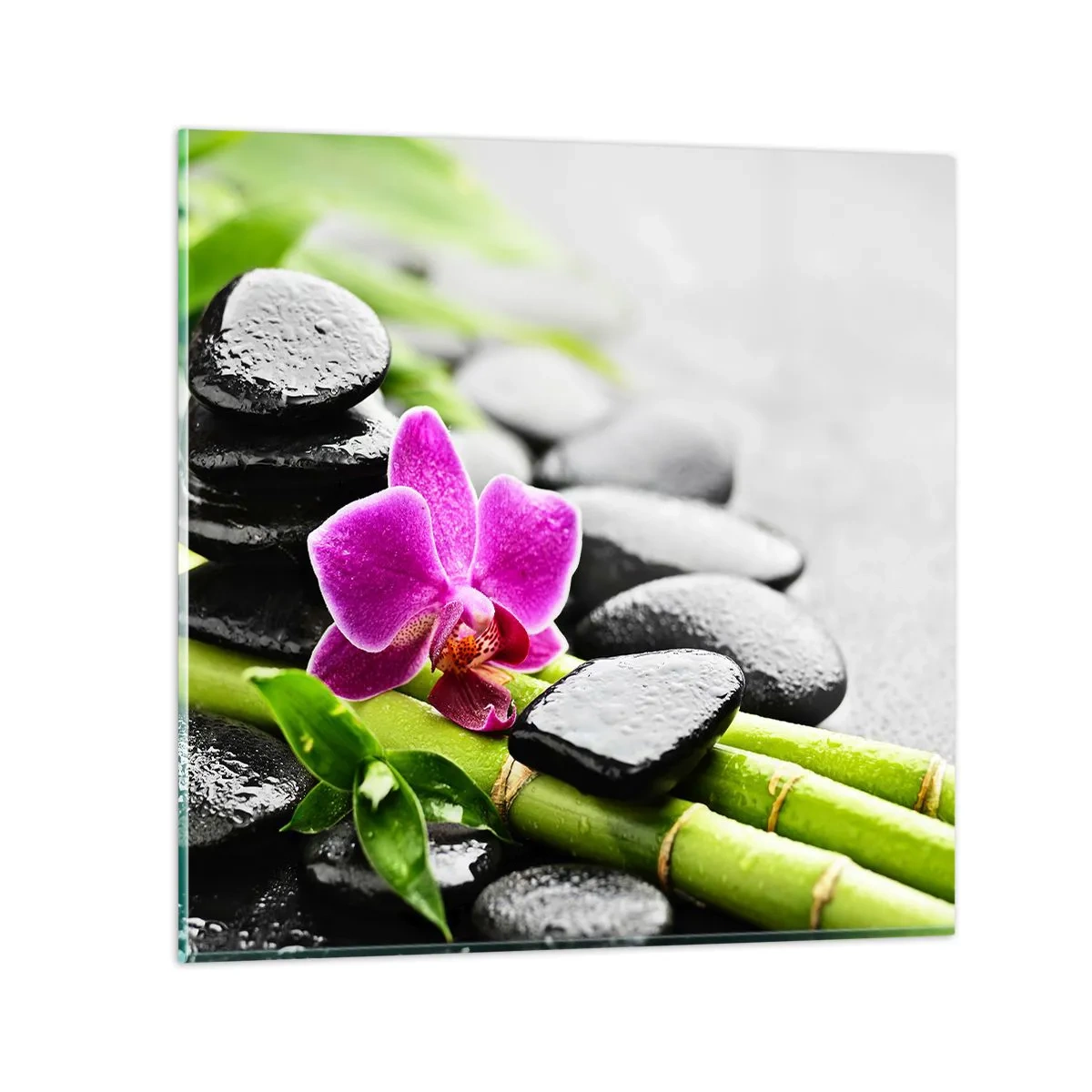 Glasbild - Bild auf glas - In ruhiger Balance - 50x50 cm