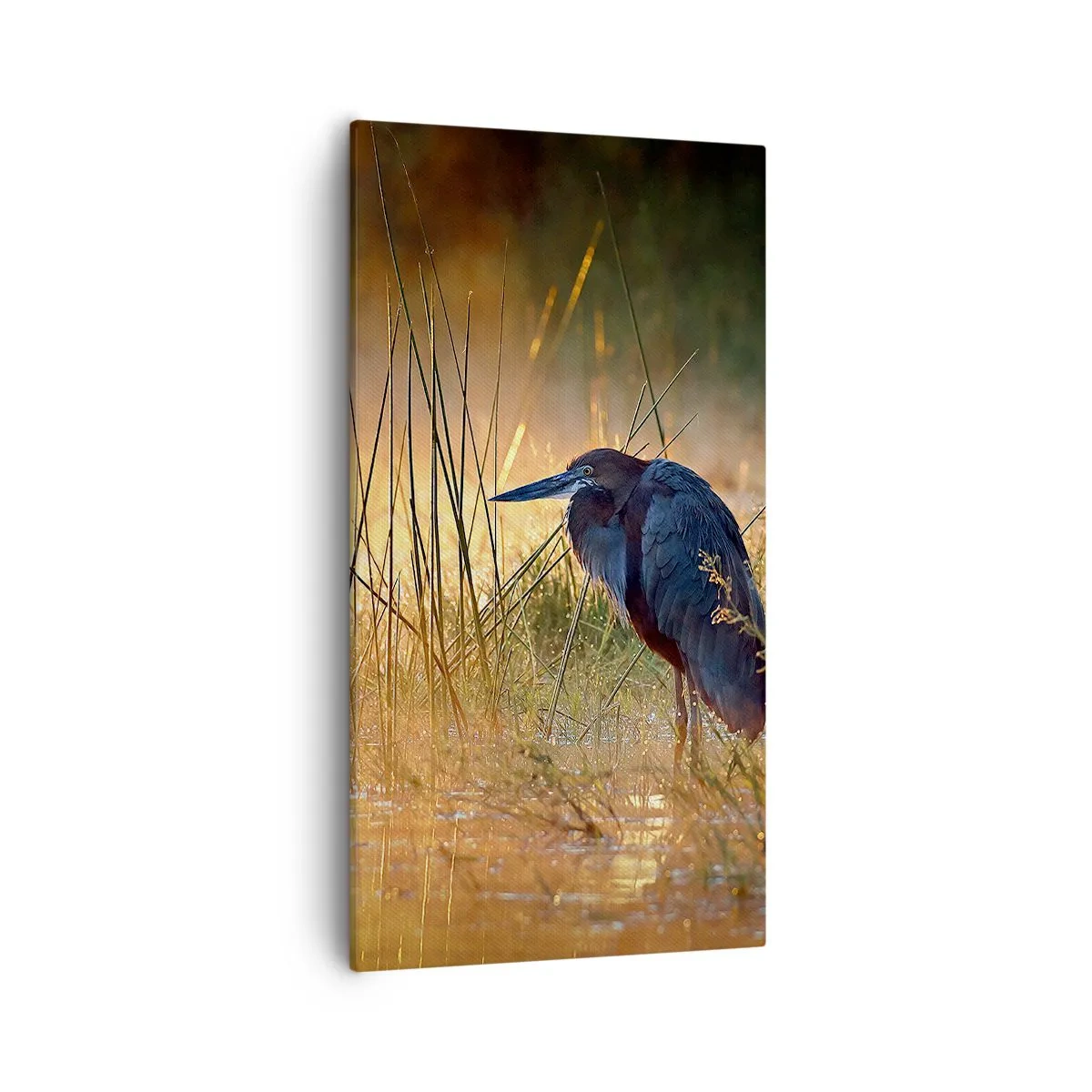 Bild auf Leinwand - Leinwandbild - Komm, gib mir eine Pause mit diesen Fotos - 55x100 cm