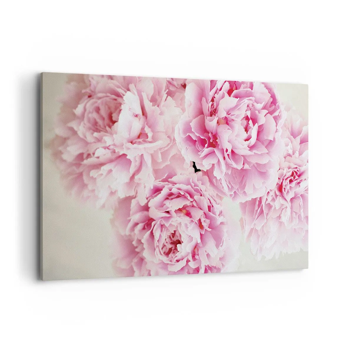 Bild auf Leinwand - Leinwandbild - Ein Strauß rosa Pfingstrosen auf hellem Hintergrund - 120x80cm - In rosa Glamour - Moderne Wanddekoration für Wohnzimmer und Schlafzimmer ARTTOR