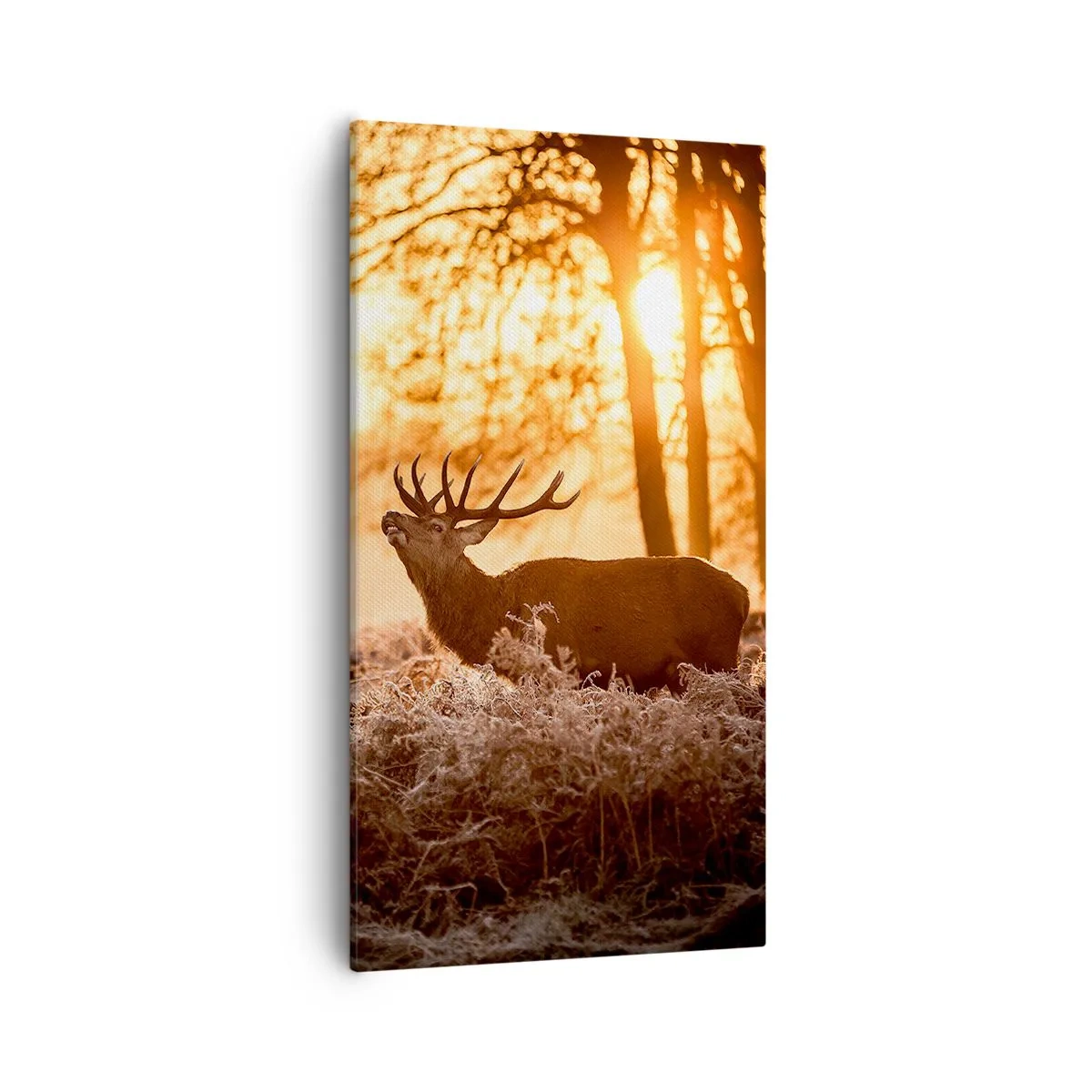 Bild auf Leinwand - Leinwandbild - Der Traum eines Jägers - 55x100 cm