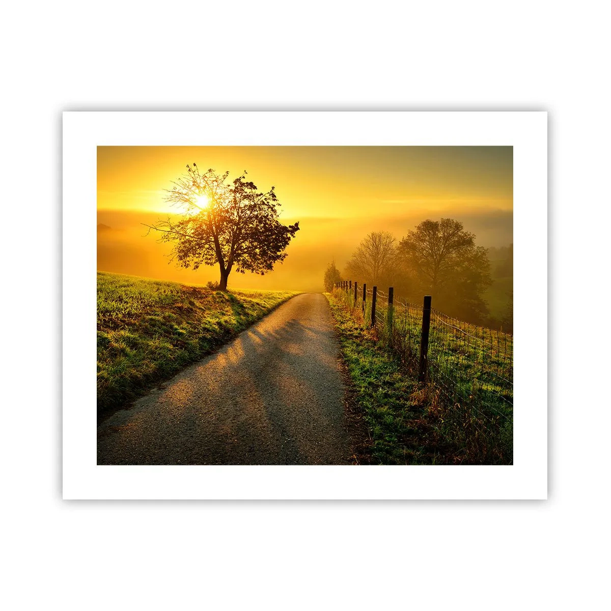 Poster - Honig-Nachmittag - 50x40 cm