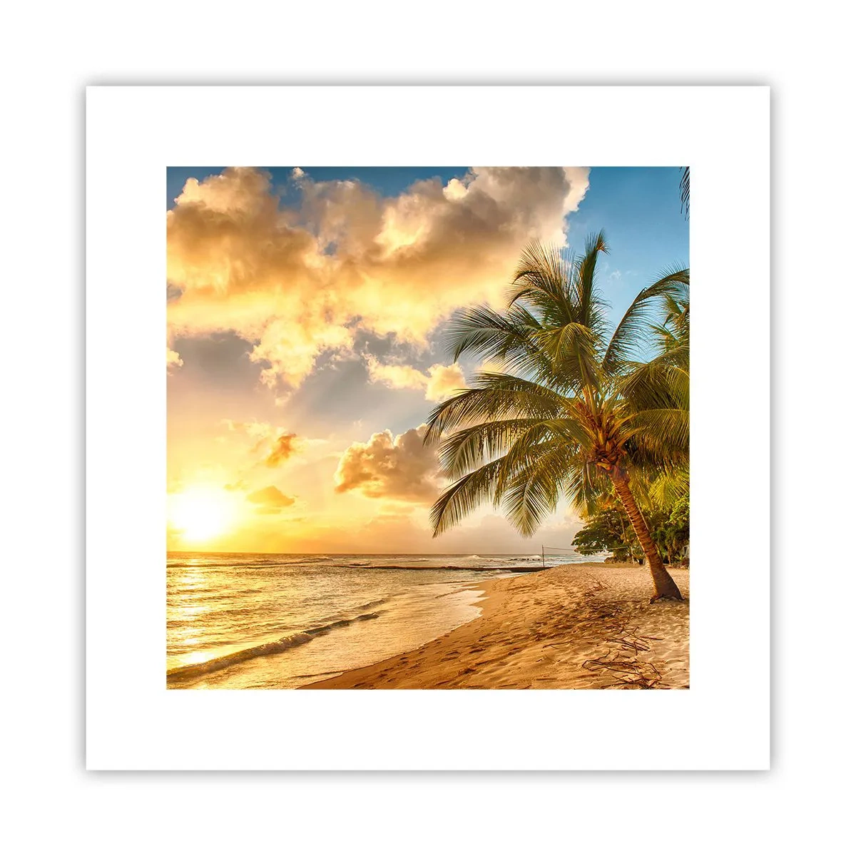 Poster - Ewiger Sommer, immer Urlaub - 30x30 cm