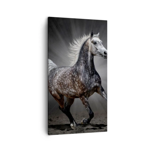 Bild auf Leinwand - Leinwandbild - Grau ist schön - 45x80 cm
