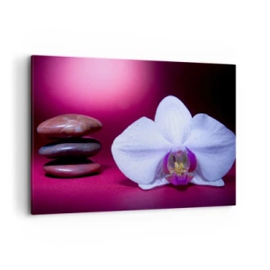 Bild auf Leinwand - Leinwandbild - Weiße Orchidee und Steine auf rosa Hintergrund - 100x70cm - Eine Studie der Frische in Lila - Moderne Wanddekoration für Wohnzimmer und Schlafzimmer ARTTOR