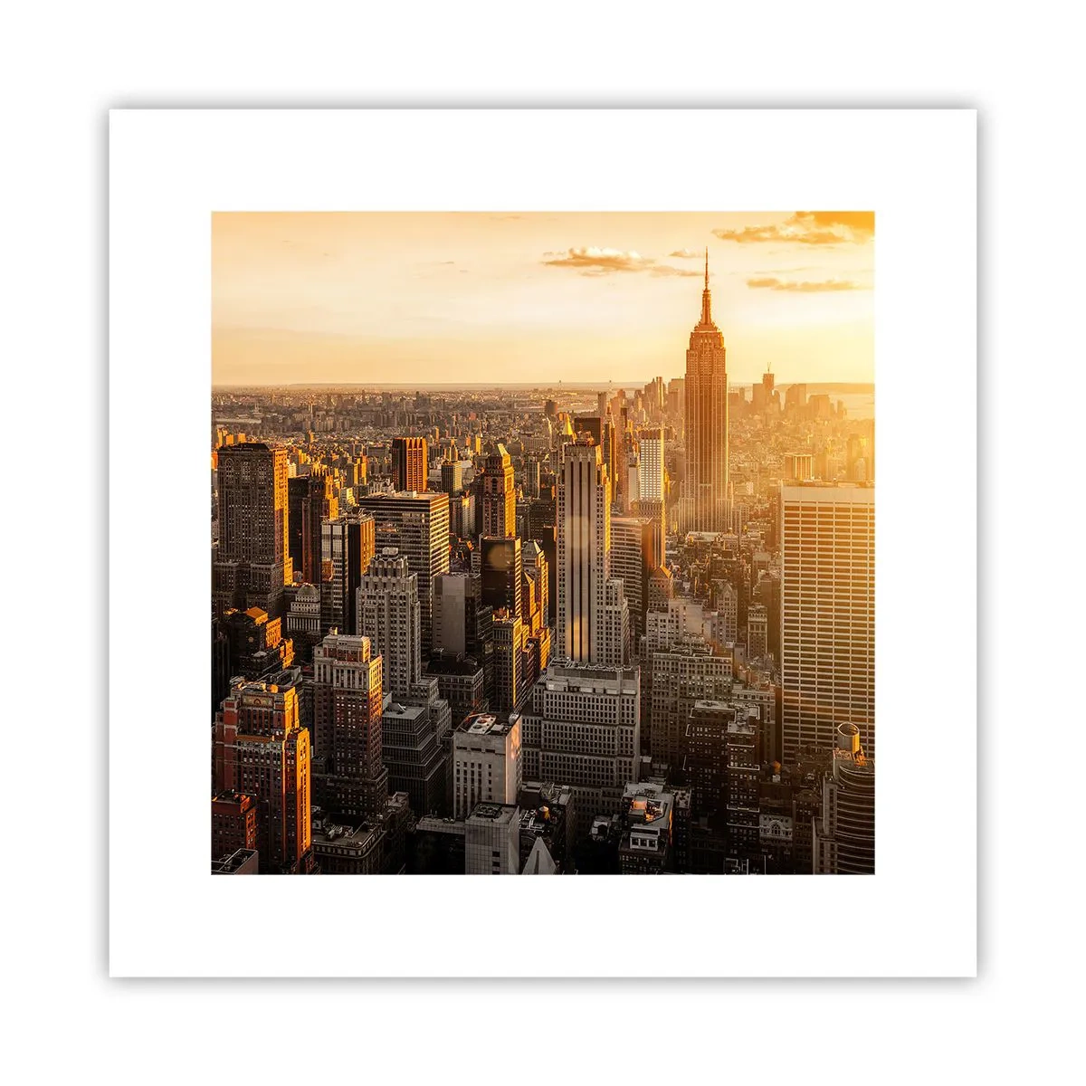 Poster - In der Sonne wachsen - 30x30 cm