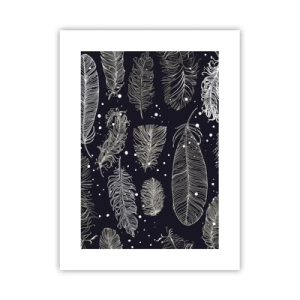 Poster - Gefiederte Spitze - 30x40 cm