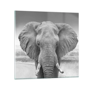 Glasbild - Bild auf glas - Willkommen in meiner Welt - 70x70 cm