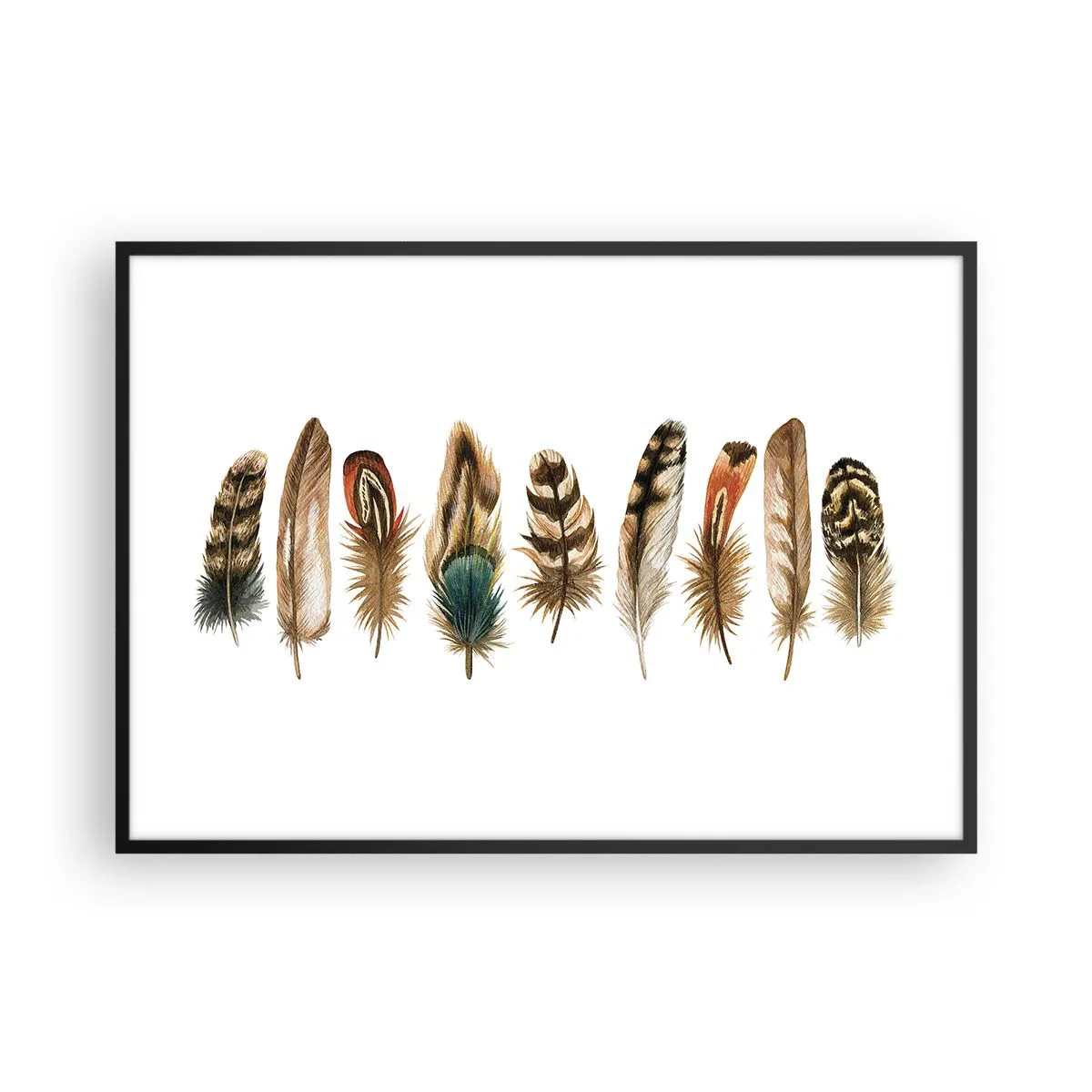 Poster in einem schwarzem Rahmen - Dekoratives Motiv einer Sammlung verschiedener Federn - 100x70cm - Eine federleichte Variante - Moderne Wanddekoration für Wohnzimmer und Schlafzimmer ARTTOR