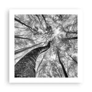 Poster - Rennen zum Licht - 50x50 cm