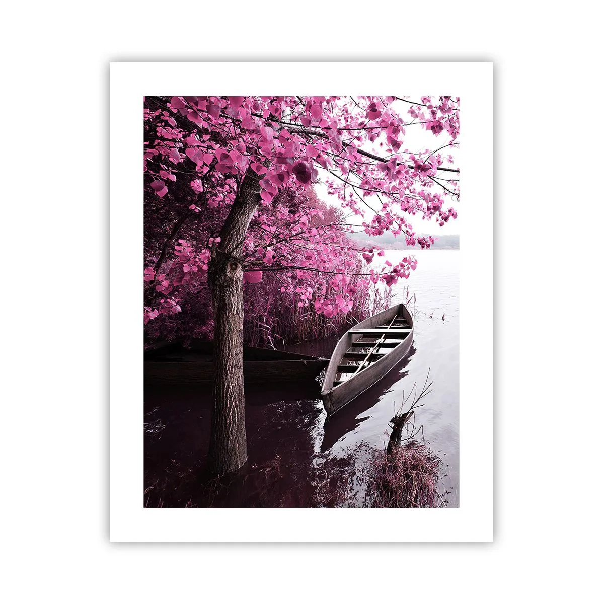 Poster - In rosa Stille - 40x50 cm