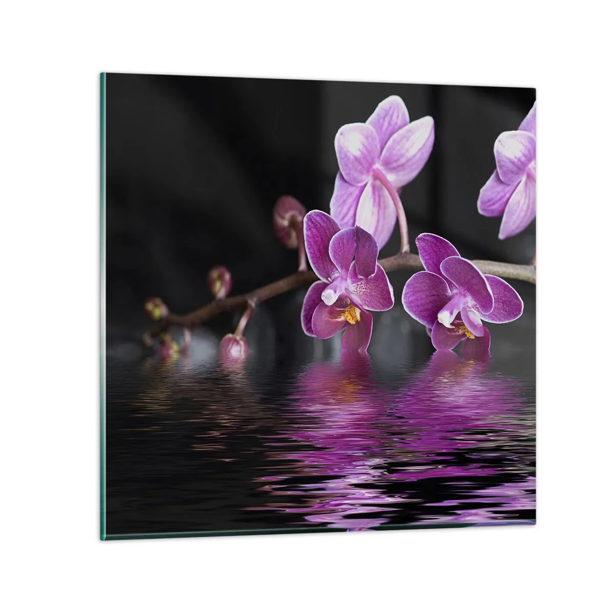 Glasbild - Bild auf glas - Lila Spiegelbild der Schönheit - 70x70 cm