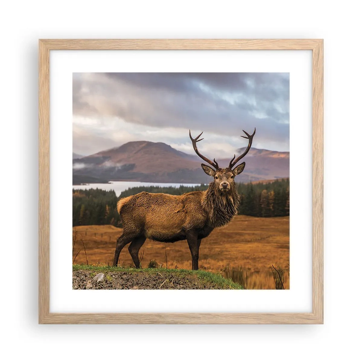 Poster in einem Rahmen aus heller Eiche - Die Majestät der Natur - 40x40 cm
