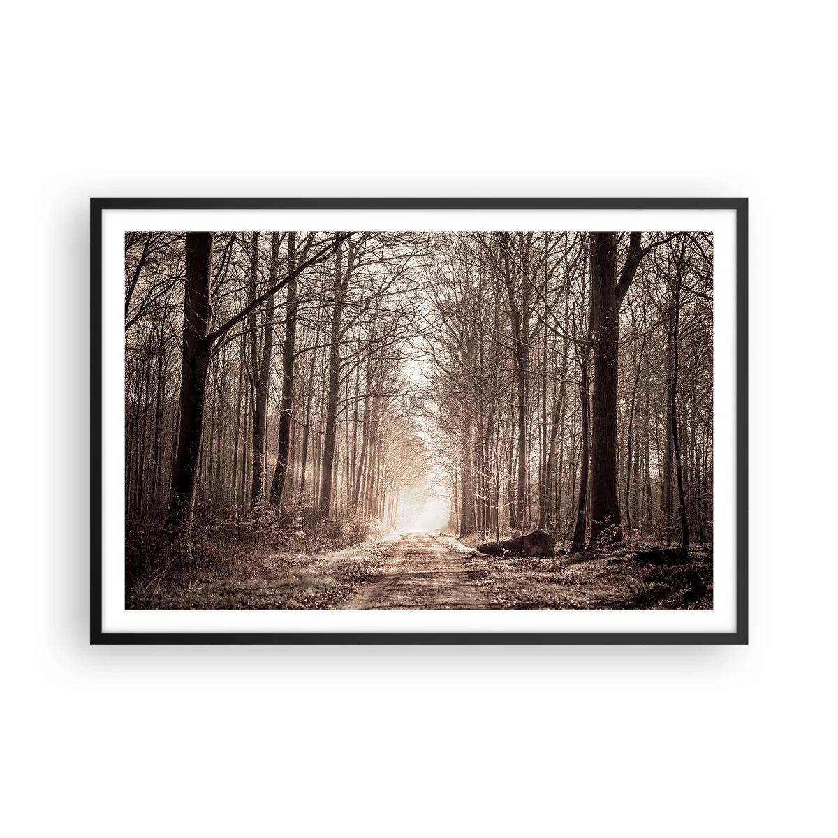 Poster in einem schwarzem Rahmen - Waldkathedrale - 91x61 cm