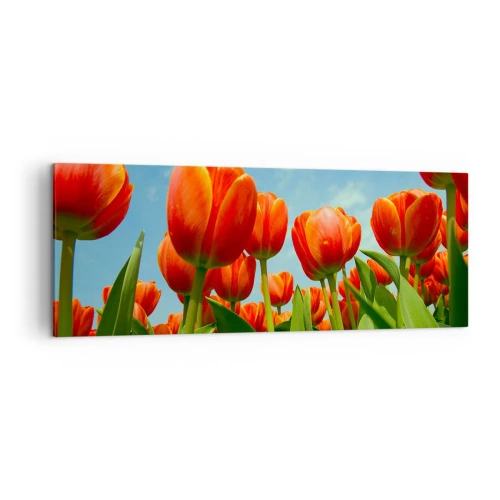 Bild auf Leinwand - Leinwandbild - Ein Feld mit roten und orangefarbenen Tulpen vor blauem Himmel - 140x50cm - Außer dem blauen Himmel brauchen sie nichts in ihrem Leben - Moderne Wanddekoration für Wohnzimmer und Schlafzimmer ARTTOR