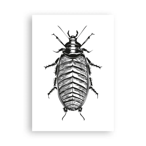 Poster - Was für ein Exemplar! - 70x100 cm