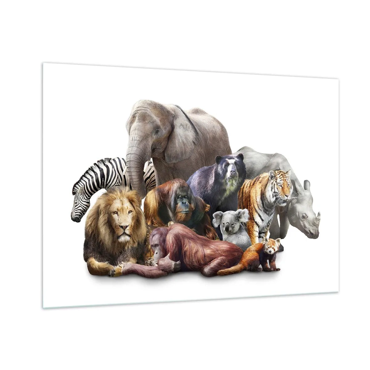 Glasbild - Bild auf glas - Eine Gruppe wilder Tiere auf weißem Hintergrund in einer künstlerischen Aufnahme - 100x70cm - Afrikanische Familienfotografie - Moderne Wanddekoration für Wohnzimmer und Schlafzimmer ARTTOR